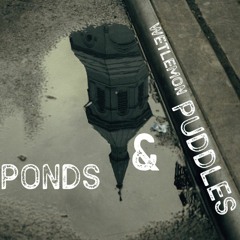Ponds And Puddles