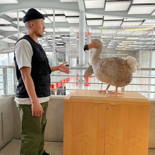 BLENDS AND EDITS, VOL. 2.5