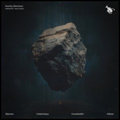Gravity (ViBase Remix)