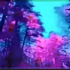 zkadяus 80aston1 ცივითოვლისტყე