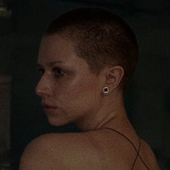 belligerent nonsense