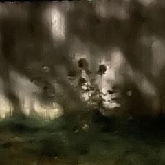 Voodoo