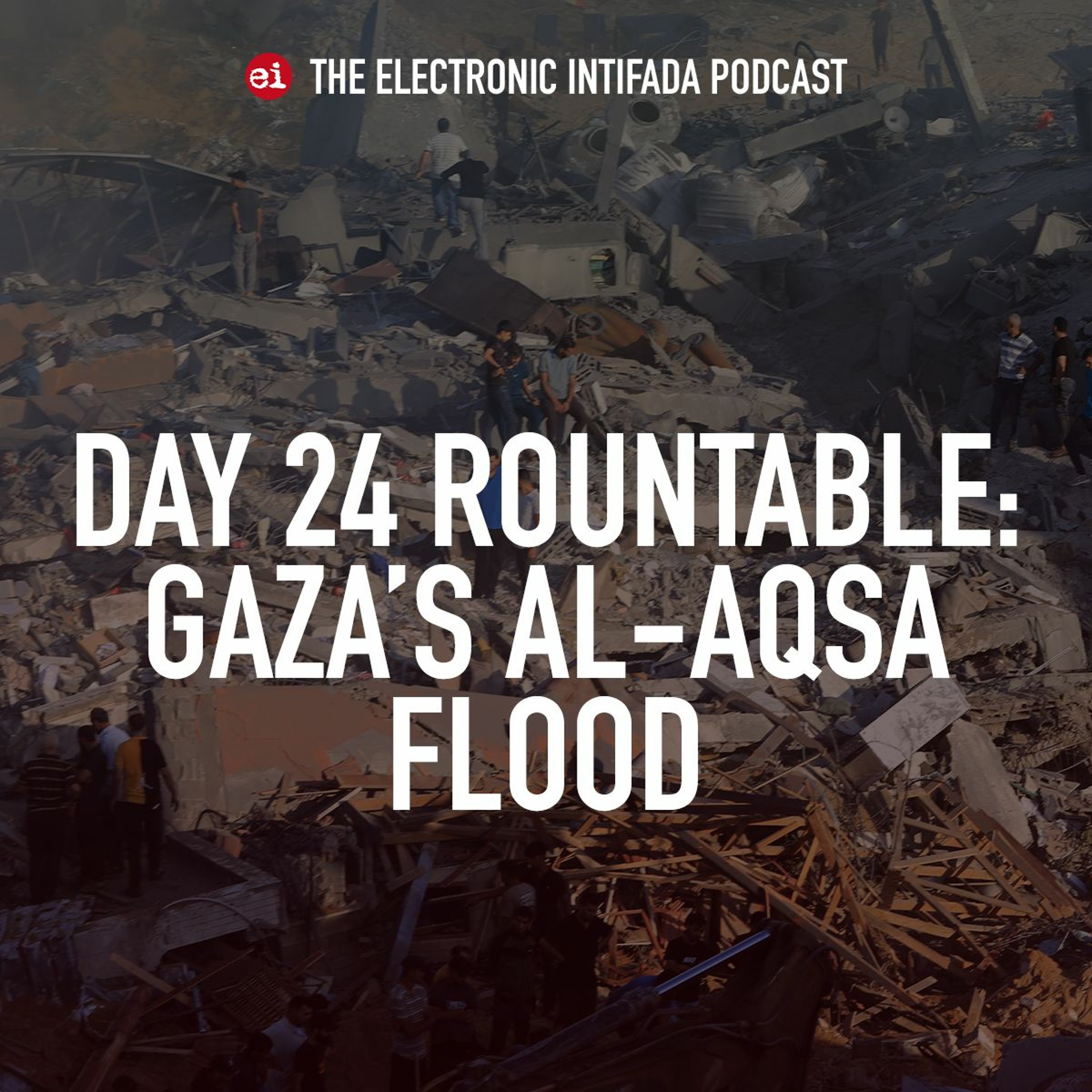 Day 24 roundtable of Israel's attacks on Gaza