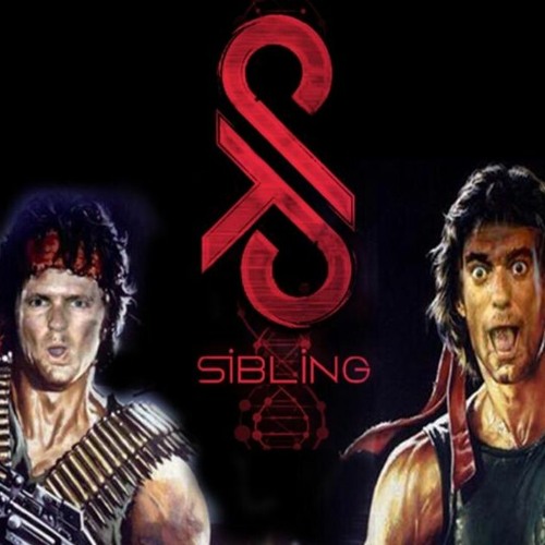 interview w/ SHADOW FX / TETRAMETH / TWISTED SIBLING | On The Way To Ozora 2020 | 11/04/2020