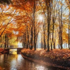 Trip Hop Autumn Mix