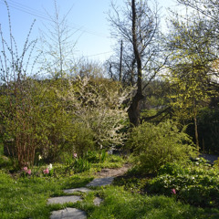 Ed Sheeran - Tenerife Sea - lovely piano