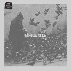 Premiere: Lingua Nera - Warmup [Timeless Records]