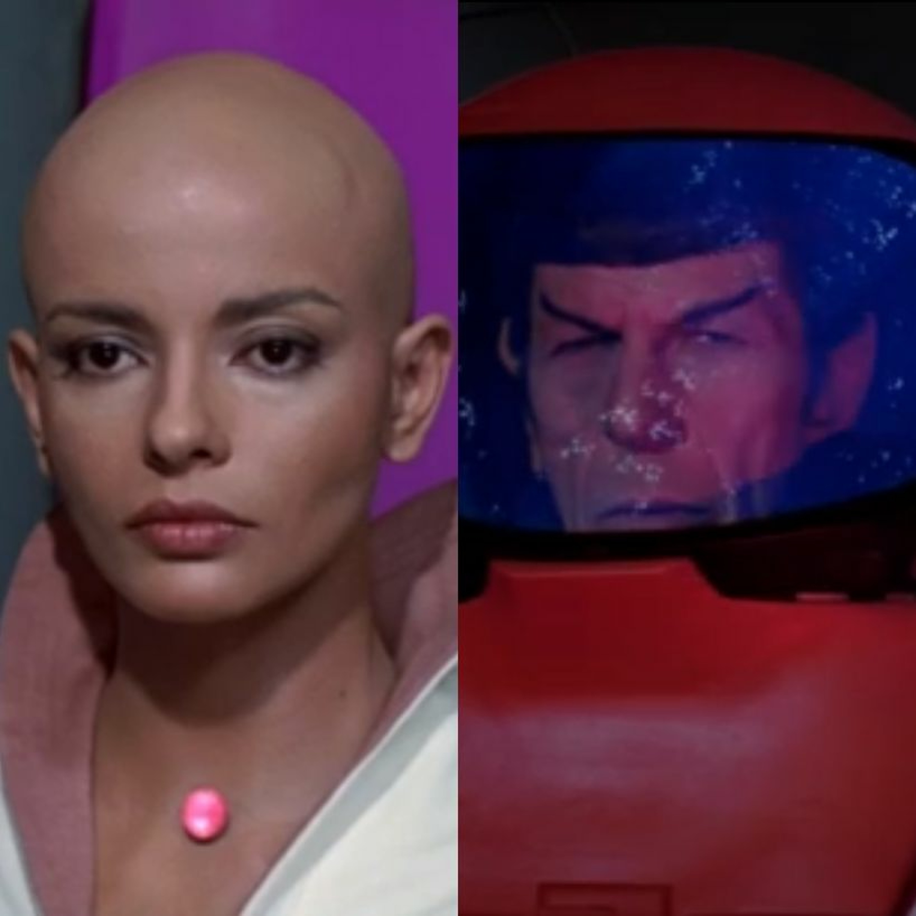 A Star to Steer Her By