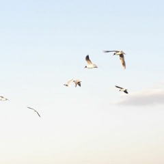 Wann Trägt Der Wind Mich Fort