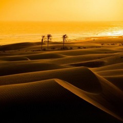 Euphoria & Romulus 3000 - Golden Timeline(Original mix)(Free DL)