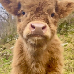 What_I_Do (Prod. kiialko)