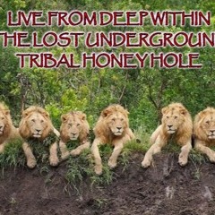 ESSENTIAL TRIBAL HOUSE & PROGRESSIVE Vol.2