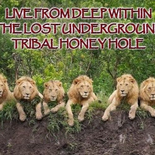 ESSENTIAL TRIBAL HOUSE & PROGRESSIVE Vol.2