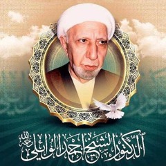 الشيخ الدكتور أحمد الوائلي - 2