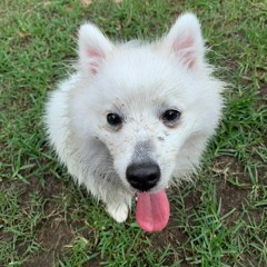 WhereWereYouWhenTheLightsWentOut