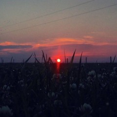 Longer Days ♡ Brighter Nights