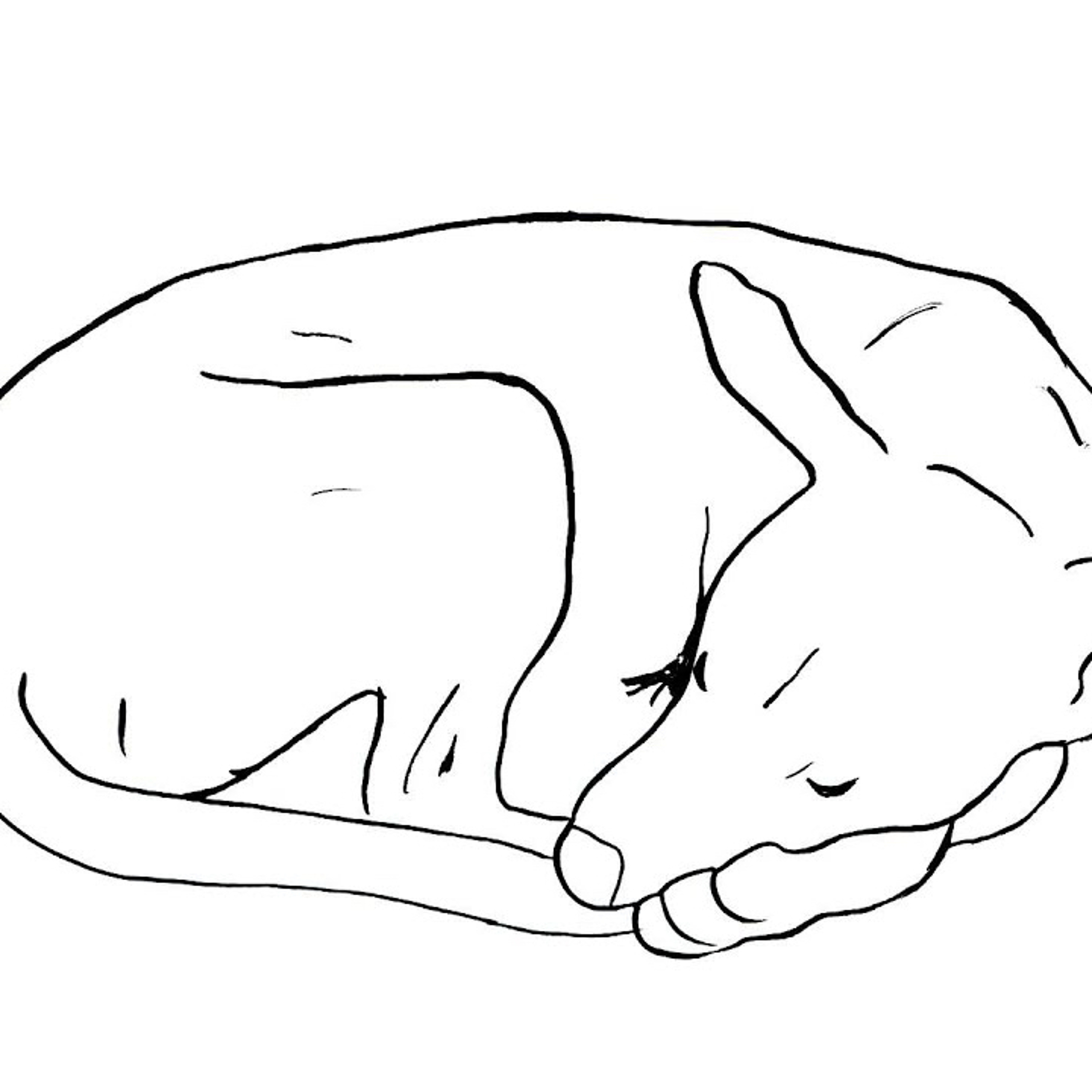 Paleart