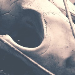 Withered Bone