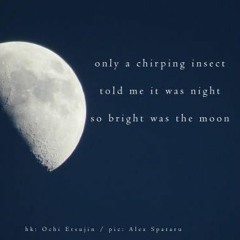 haiku #363: only a chirping insect / told me it was night / so bright was the moon