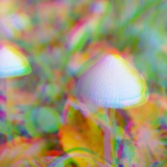 sour