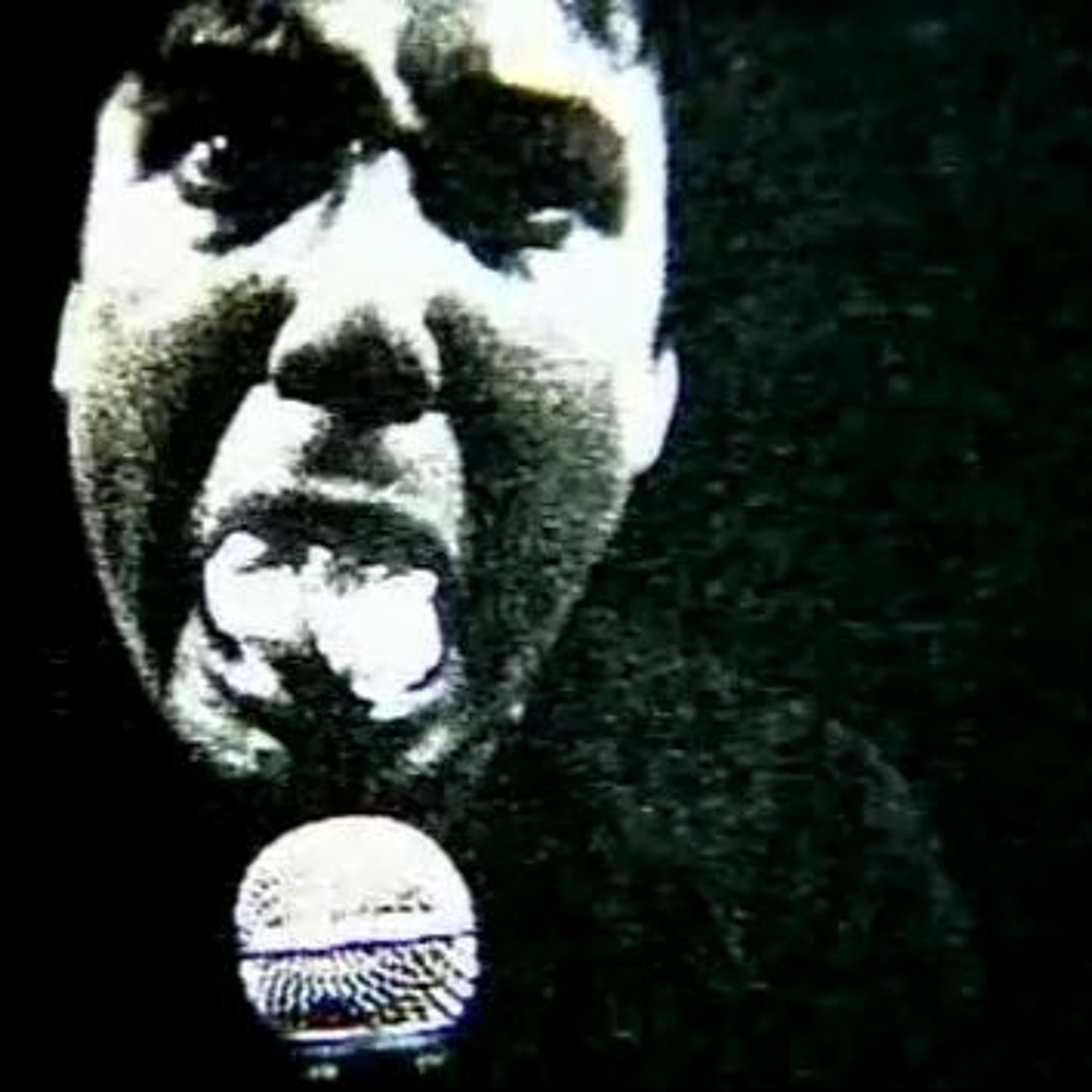 The MOOn is shining BILL HICKS Remix episode artwork