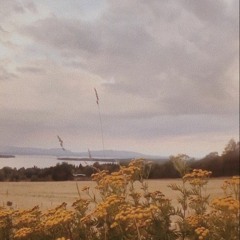 i've always loved u. - Arash Buana