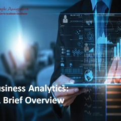 A Brief Overview of Business Analytics