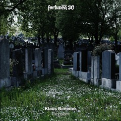 PREVIEW // A - Klaus Benedek "Tombstone"