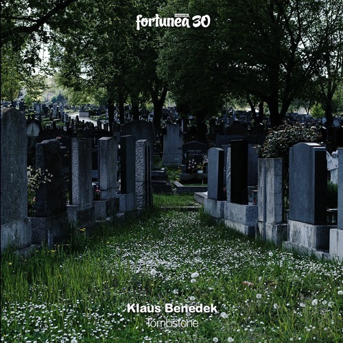 PREVIEW // B - Klaus Benedek "Tombstone" (Siggatunez feels the Unknown Mix)