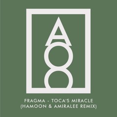 Fragma - Toca's Miracle (Hamoon & Amiralee Remix)