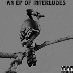 Pick An L Any L (Interlude)