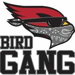 GRITZ- BIRD GANG  OUT NOW