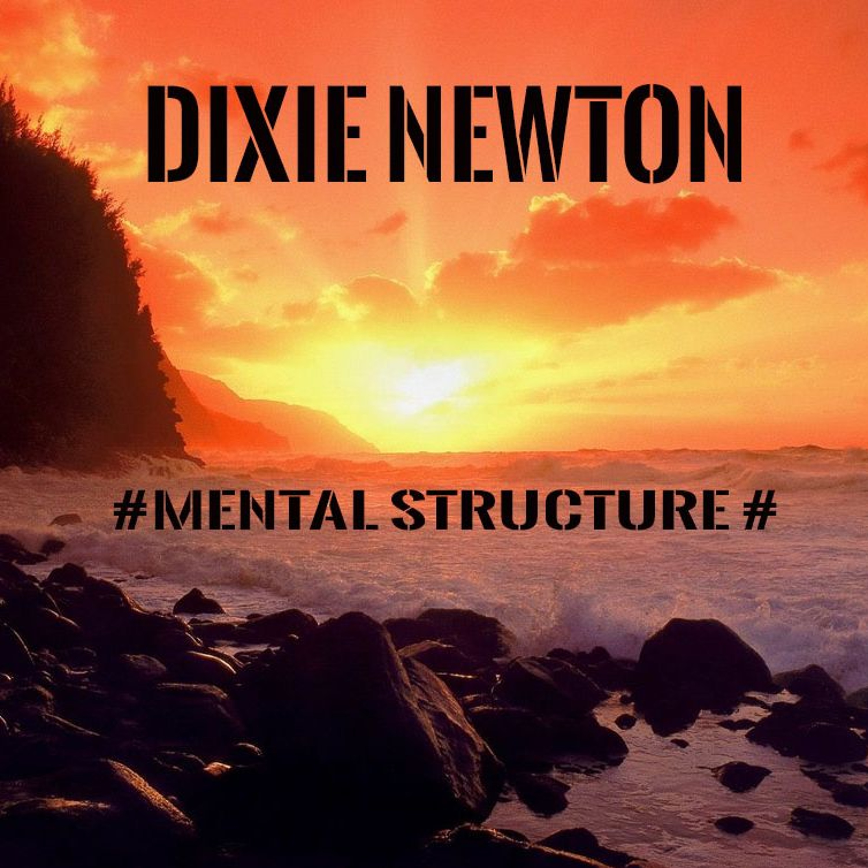 Dixie Newton - # Mental Structure # episode artwork