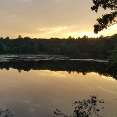 AWC - Sight Reading [2021.08.06]