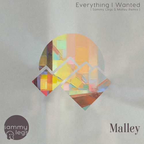 Billie Eilish - Everything I Wanted (Sammy Legs & Malley Remix)