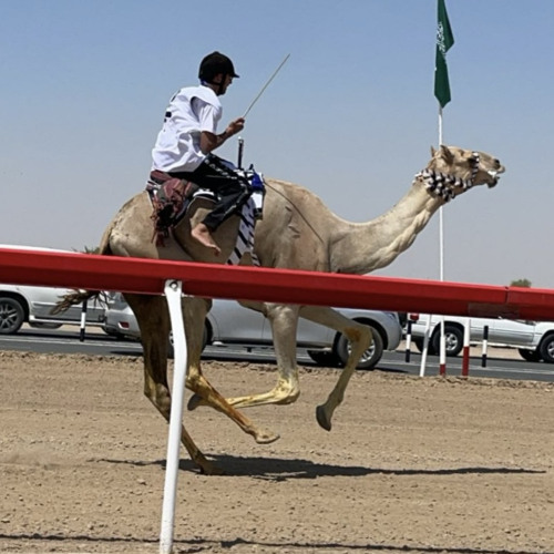 ‎⁨سلطان العذبه - الغزال⁩