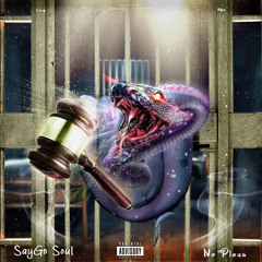 SaygoSoul - No Pleas.mp3