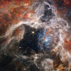 Orion JWST