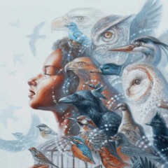 Eagle Song