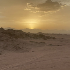 DAILY DOSE OF AMAPIANO