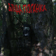 Бліда поганка