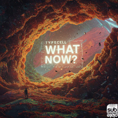 Typecell - What Now? [SUBPLATE-191]