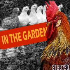 STBB720 - In The Garden (I Just Like Anything)
