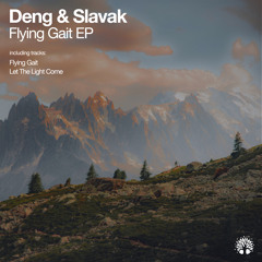 Deng & Slavak - Flying Gait (Original Mix)