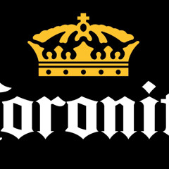 Coronita Classic,Melodic,Tech House Mix 2025 Április