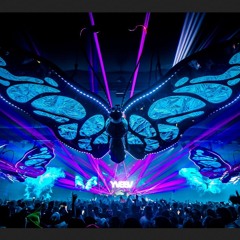 TomorrowLand Winter 2025 Memories