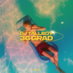 DJ TALLBOY - 36 GRAD (Extended) FREE DOWNLOAD