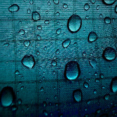 First Rain