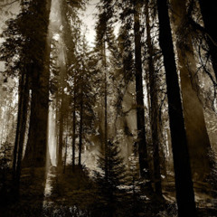 AmbEr - Aus Leidenschaft zur Musik