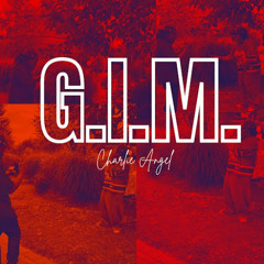 G.I.M. (Gave It Mo')